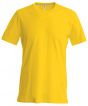 Yellow Colour Sample