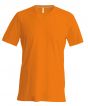 Orange Colour Sample