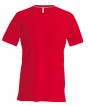 Red Colour Sample