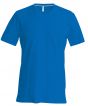 Royal Blue Colour Sample