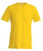 Yellow Colour Sample
