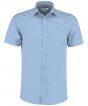 Light Blue Colour Sample