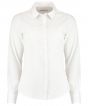White Colour Sample