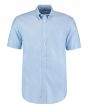 Light Blue* Colour Sample