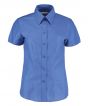 Italian Blue Colour Sample