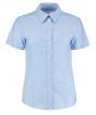 Light Blue Colour Sample