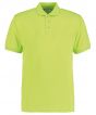 Lime Colour Sample