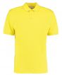 Canary Colour Sample