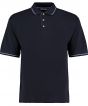 Navy/ Light Blue Colour Sample