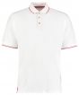 White/ Red Colour Sample