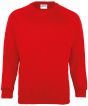 Red Colour Sample