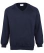 Navy* Colour Sample