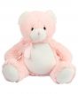 Pink Colour Sample