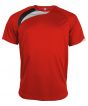 Red/ Black/ Storm Grey Colour Sample