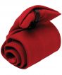 Burgundy Colour Sample