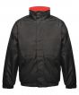Black/ Red Colour Sample