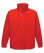 Classic Red Colour Sample