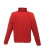 Classic Red Colour Sample