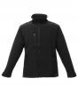 Black/ Black Colour Sample