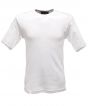 White Colour Sample