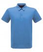 Royal Blue Colour Sample