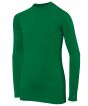 Bottle Green Colour Sample