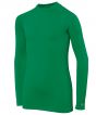 Green Colour Sample