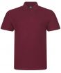 Burgundy Colour Sample