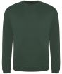 Bottle Green Colour Sample