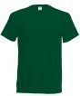 Bottle Green Colour Sample