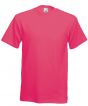 Fuchsia Colour Sample