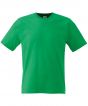 Kelly Green Colour Sample