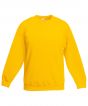 Sunflower Colour Sample