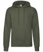 Classic Olive Colour Sample