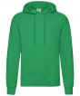 Kelly Green Colour Sample