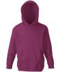 Burgundy Colour Sample