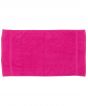 Fuchsia Colour Sample