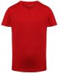 Fire Red Colour Sample
