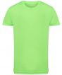 Lightning Green Colour Sample