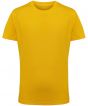 Sun Yellow Colour Sample