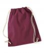Burgundy Colour Sample