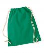 Kelly Green Colour Sample