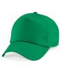 Kelly Green Colour Sample