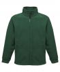 Bottle Green Colour Sample
