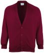 Burgundy Colour Sample