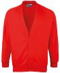 Red Colour Sample