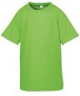 Lime Colour Sample