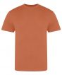 Mango Tango Colour Sample