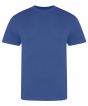 Royal Blue Colour Sample