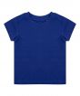 Royal Colour Sample